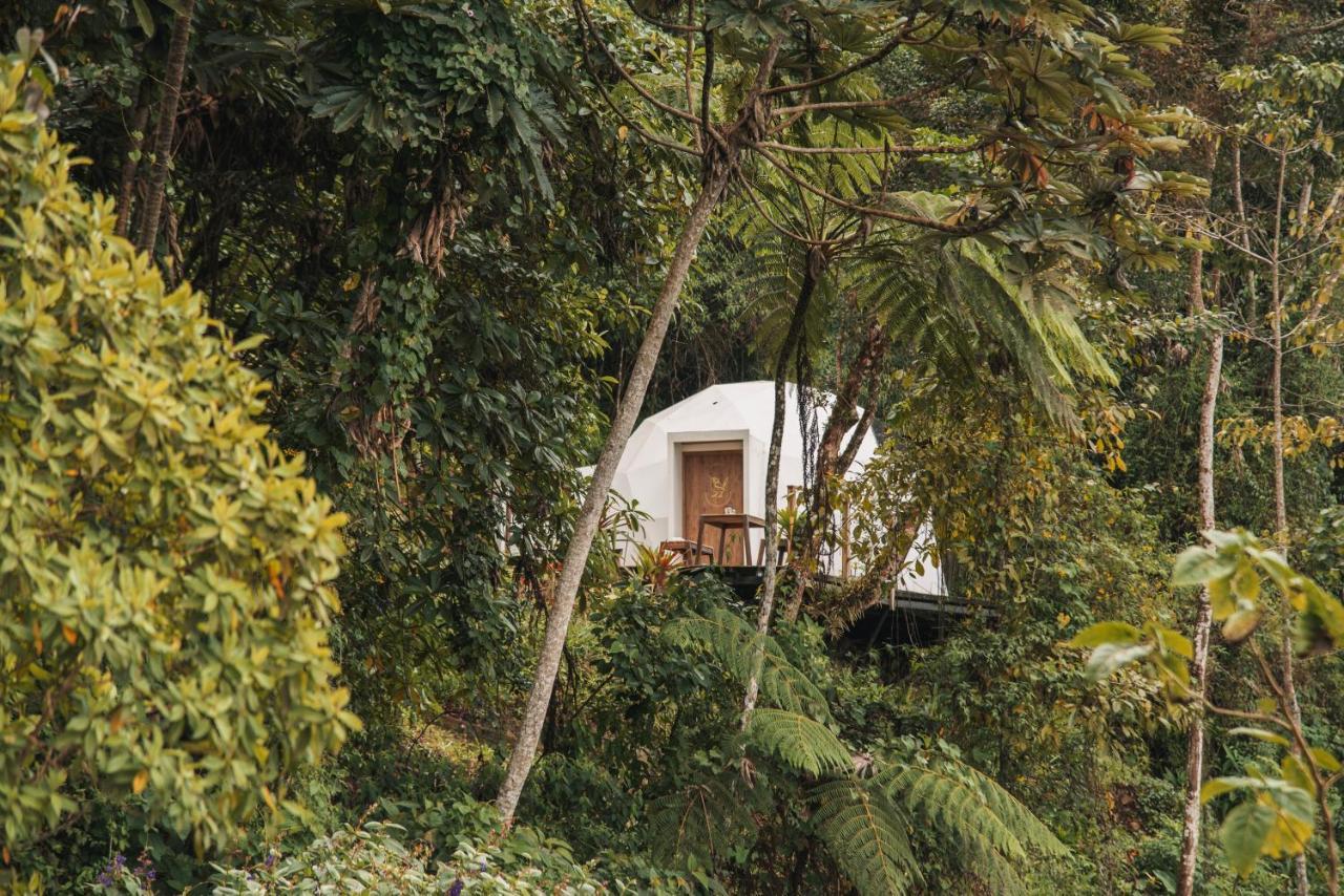 Terramia Estate Villa Minca Kültér fotó